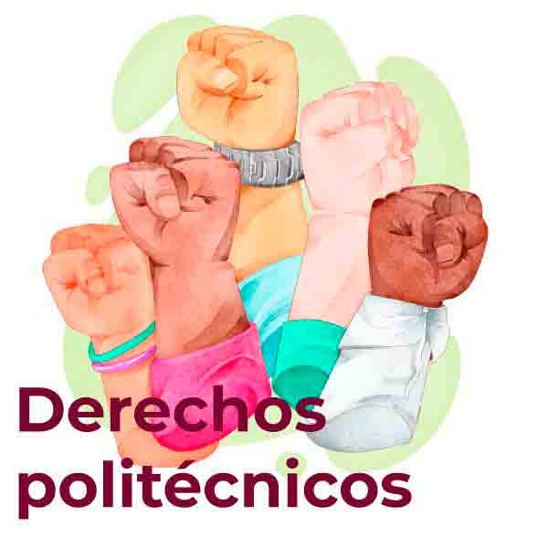 Defensoría de los Derechos Politécnicos