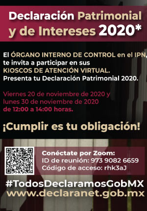 Declaración Patrimonial 2020